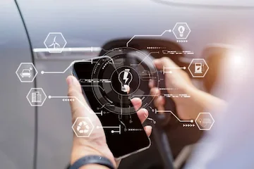 Innovation and Sustainability